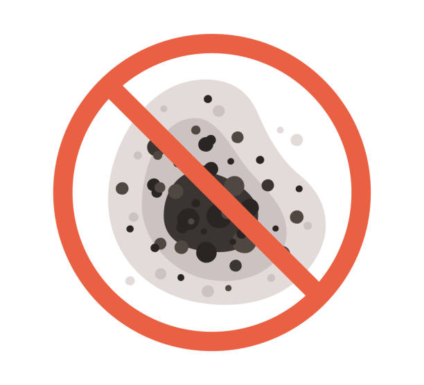 Best Biohazard Mold Removal  in St Augustine Beach, FL