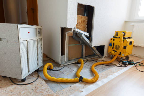 Best Water Damage & Mold Remediation  in St Augustine Beach, FL