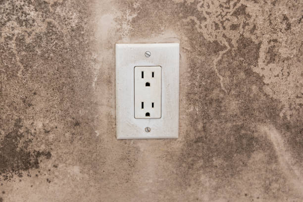 Best Environmental Consulting for Mold Prevention  in St Augustine Beach, FL